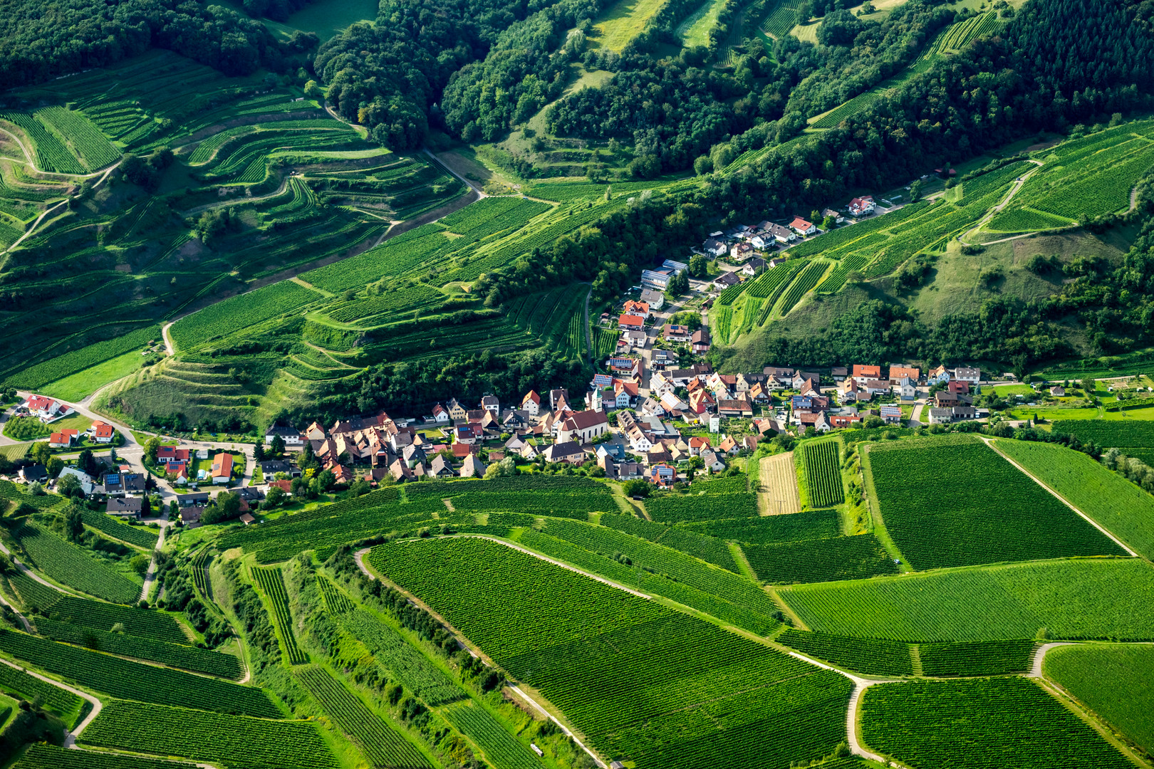 Schelingen am Kaiserstuhl 