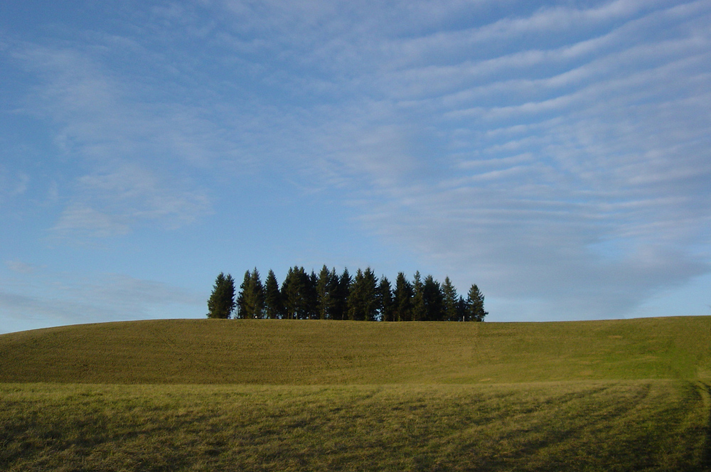 Schelinger-Matt am Kaiserstuhl