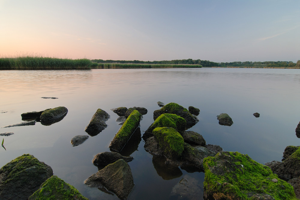 Schellbruch,Naturschutzgebiet Lübeck