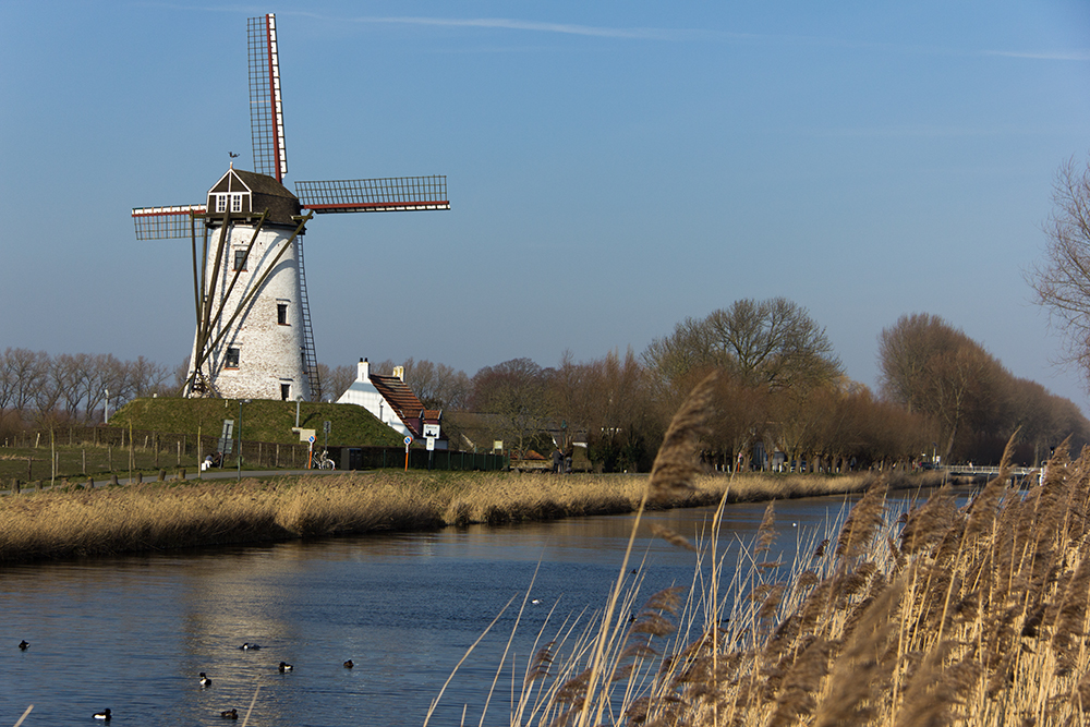 Schellemolen in Damme