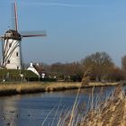 Schellemolen in Damme