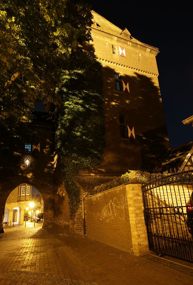 Schelmenturm in Monheim