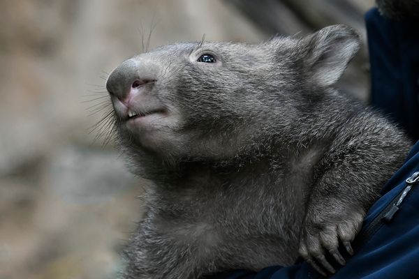 Schenk dem Tag ein Lächeln