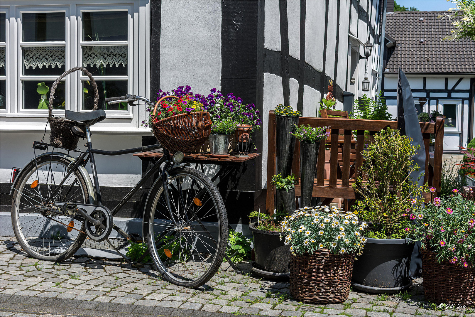 Schenk mal wieder Blumen ....