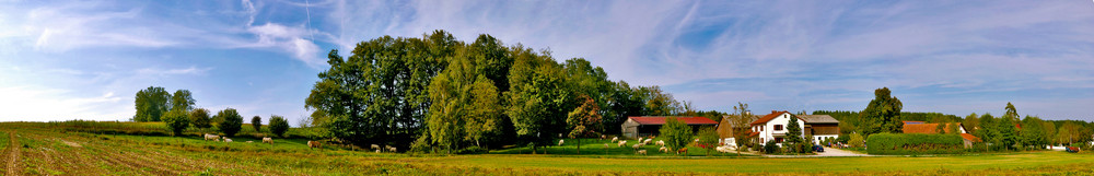 Schenkelhof Fränking