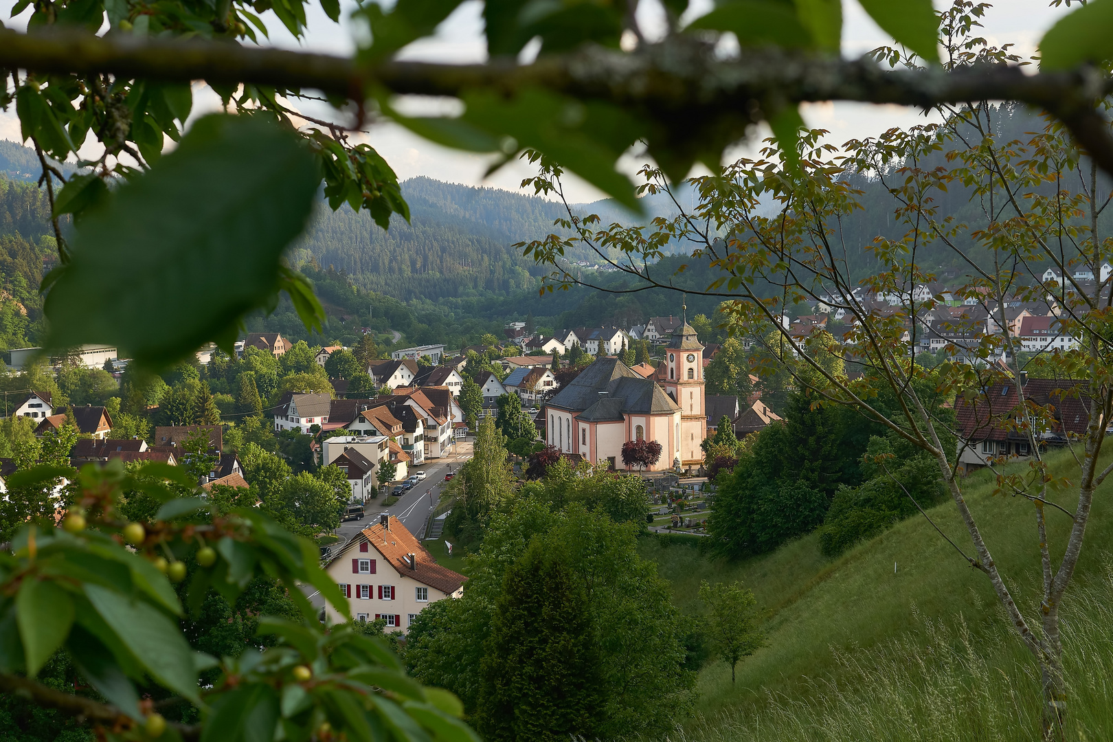 Schenkenzell im Kinzigtal