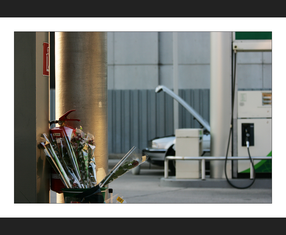 schenkt euren frau´n doch hin und wieder rote rosen.