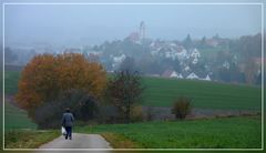 Scheppach im Nebel