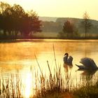 Scherauer Weiher