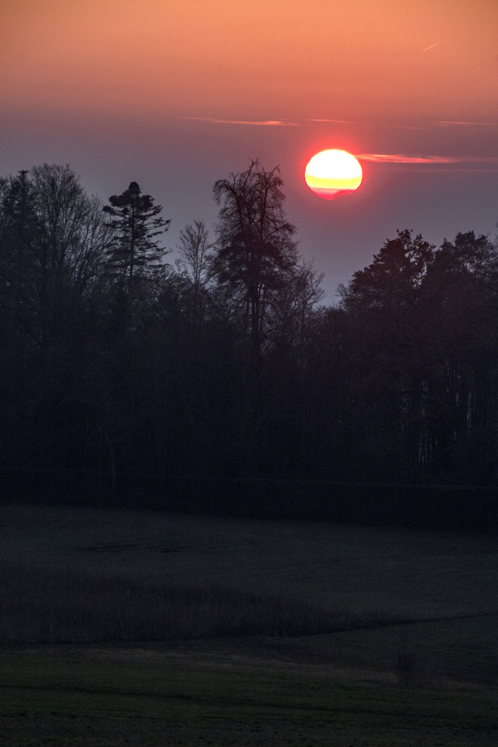 Scherenschnitt am Abendhimmel