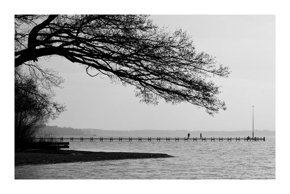 Scherenschnitt am Starnberger See