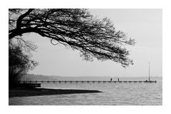 Scherenschnitt am Starnberger See