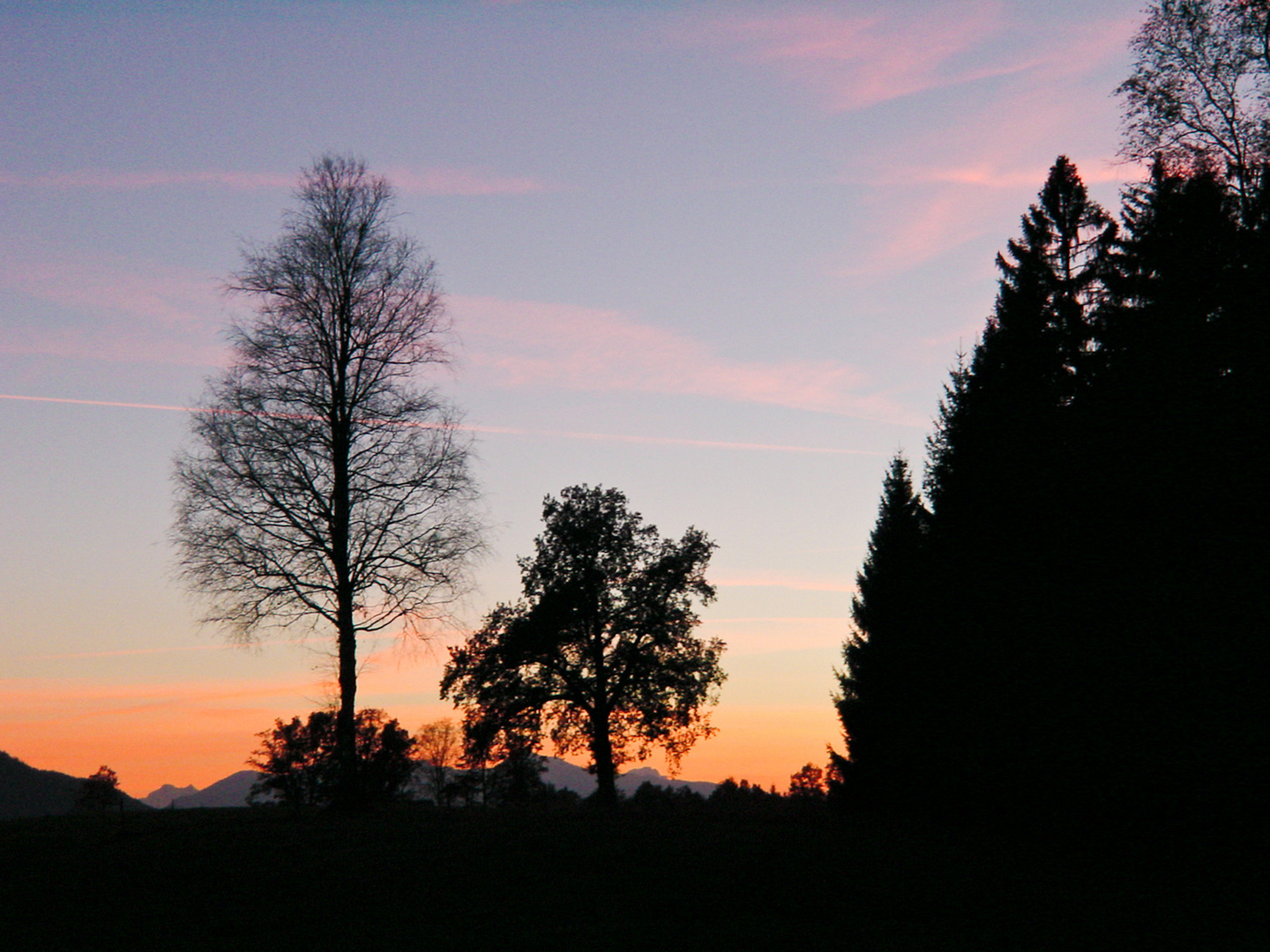 Scherenschnitt - Bad Tölz