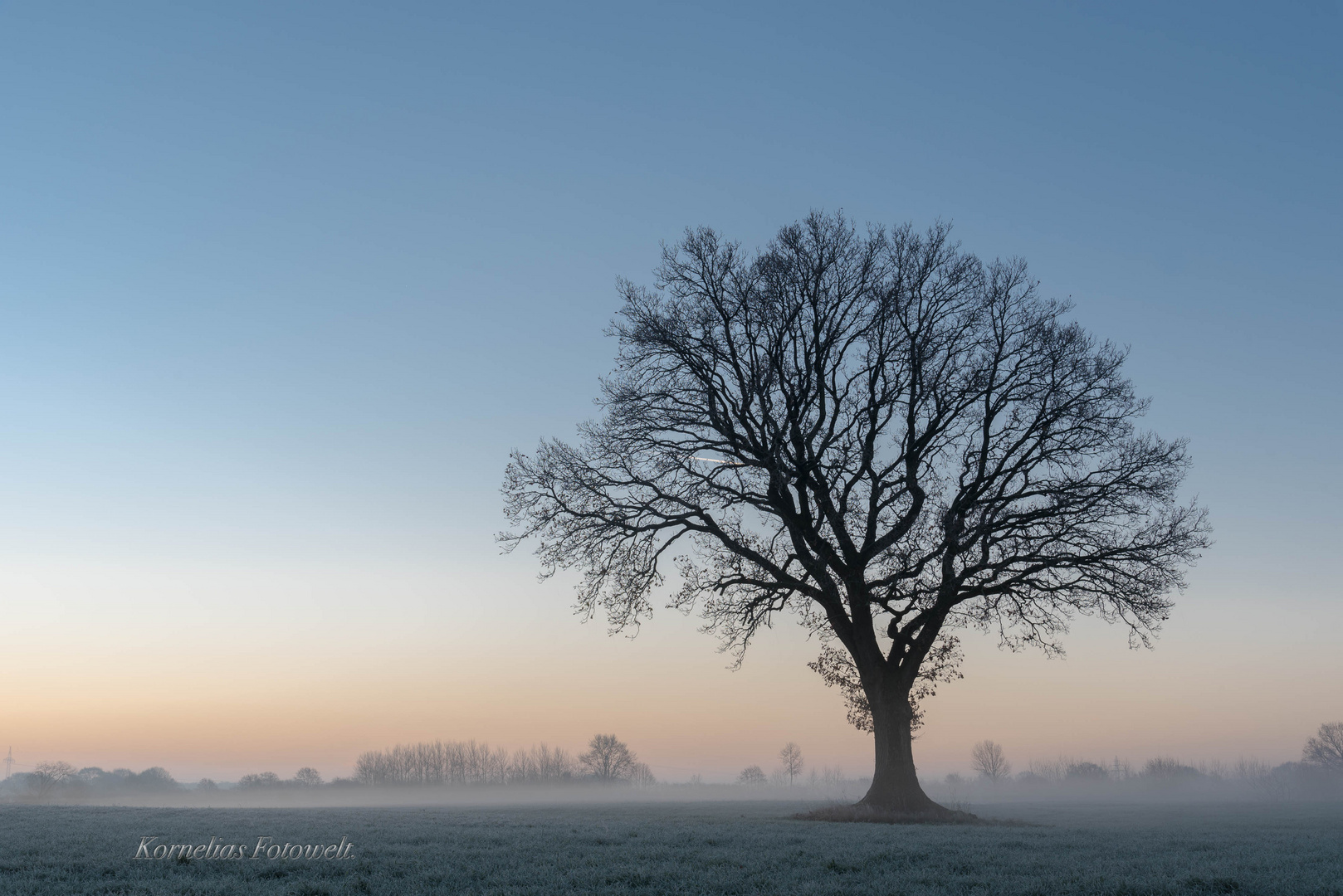 Scherenschnitt Baum