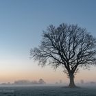 Scherenschnitt Baum