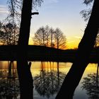 Scherenschnitt für Fortgeschrittene am Abend