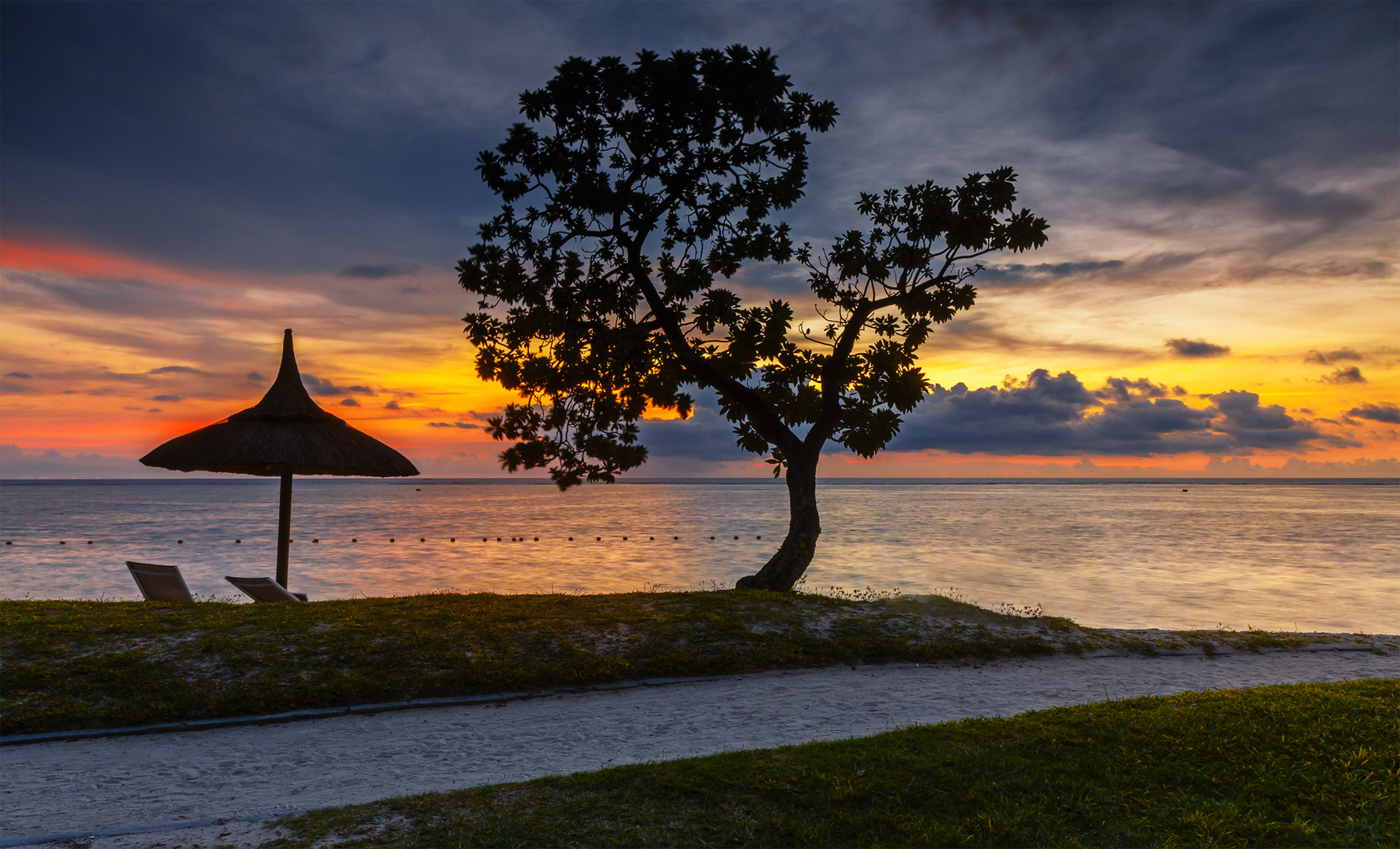 Scherenschnitt im Abendrot