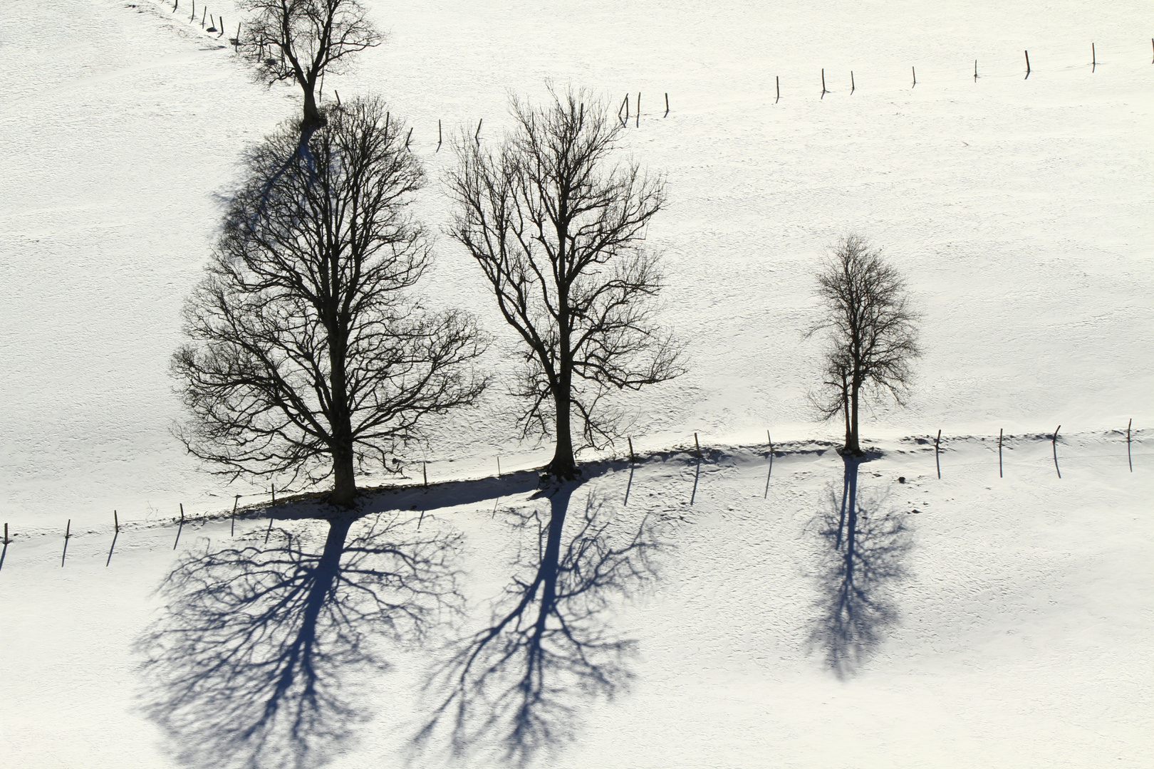 Scherenschnitt-Landschaft