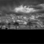 Scherenschnitt mit Wolken