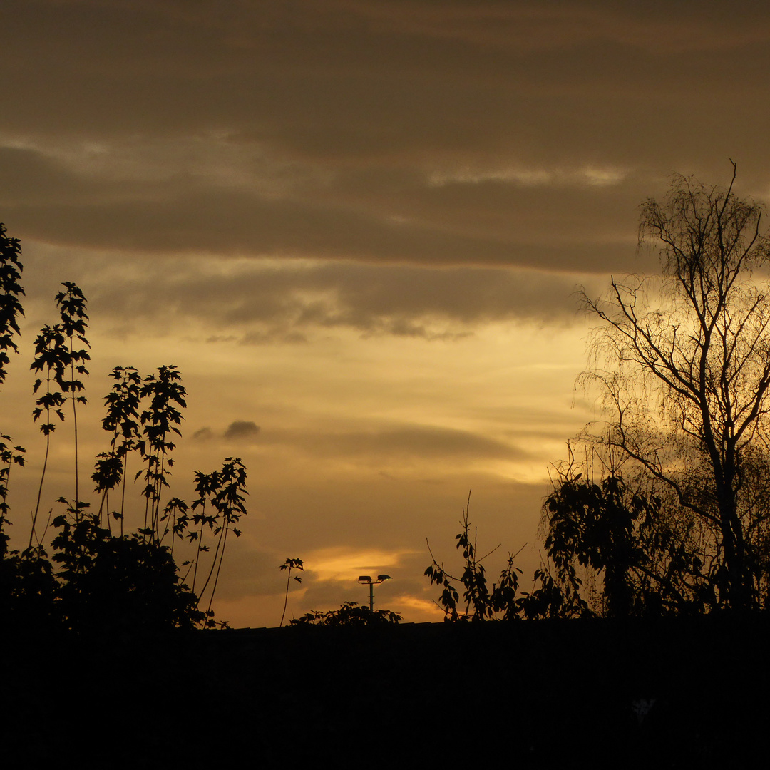 Scherenschnittsonnenuntergang