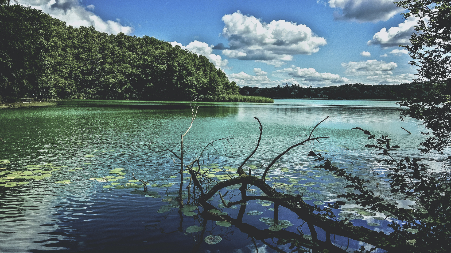 Schermützelsee Buckow 2017