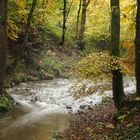 Scherzach im Lauratal bei Weingarten (Württ.) 