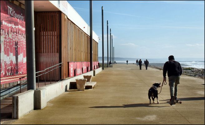 Scherzi vicino al mare