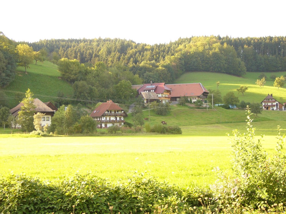 Scherzinger-Hof und Bühler-Hof in Welschensteinach