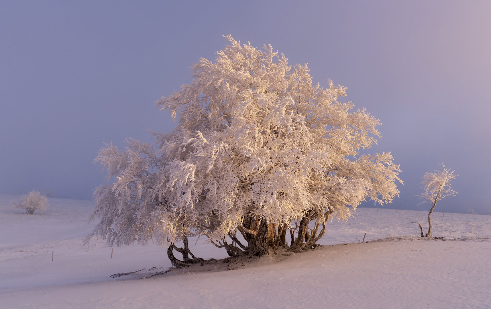 "Scheues" Licht