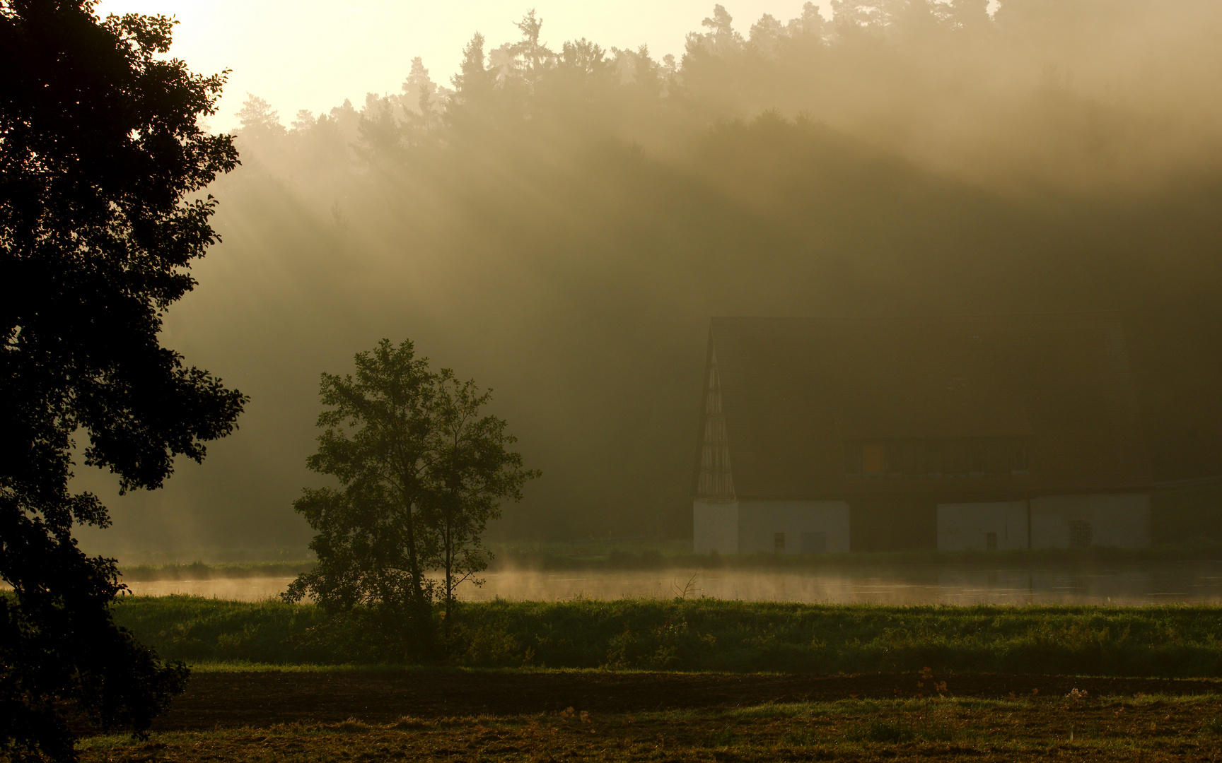 Scheune am Weiher im Morgennebel