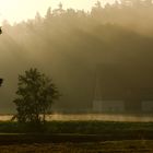 Scheune am Weiher im Morgennebel