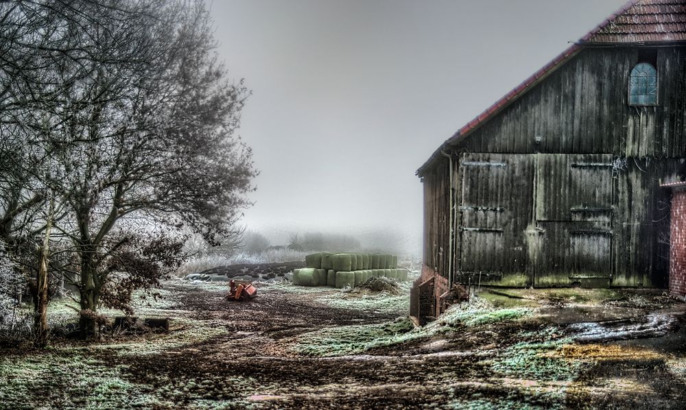 Scheune am Wümmedeich im Nebel