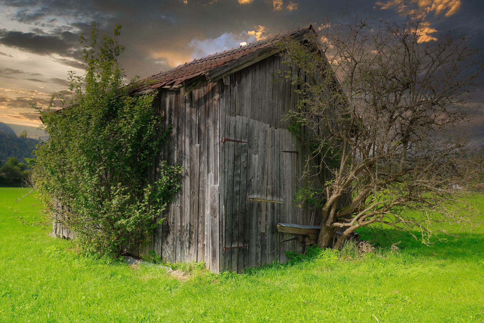 Scheune auf dem Feld