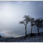 Scheune, Bäume, Himmel ....