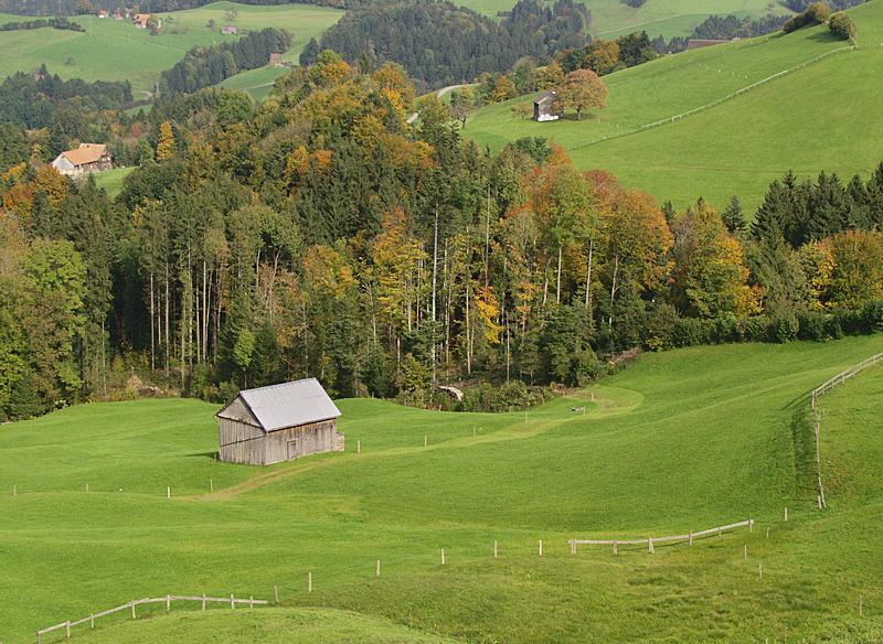 Scheune (etwas vor dem Wald)