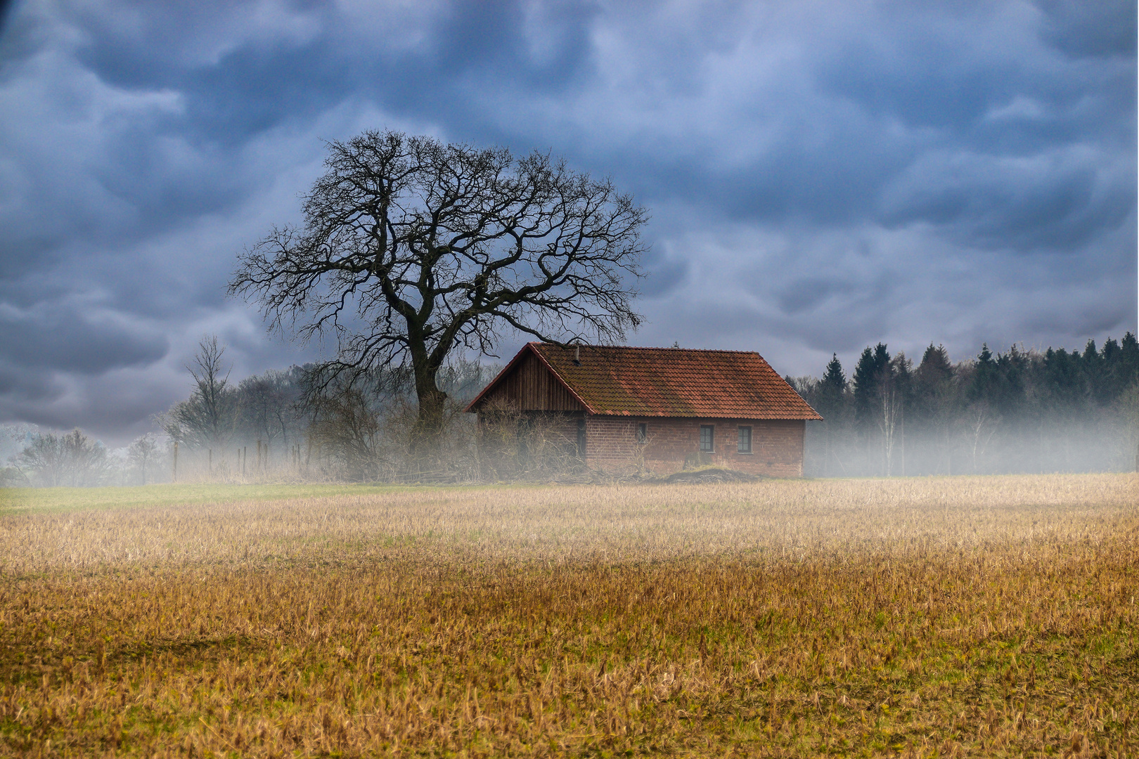 Scheune im Nebel