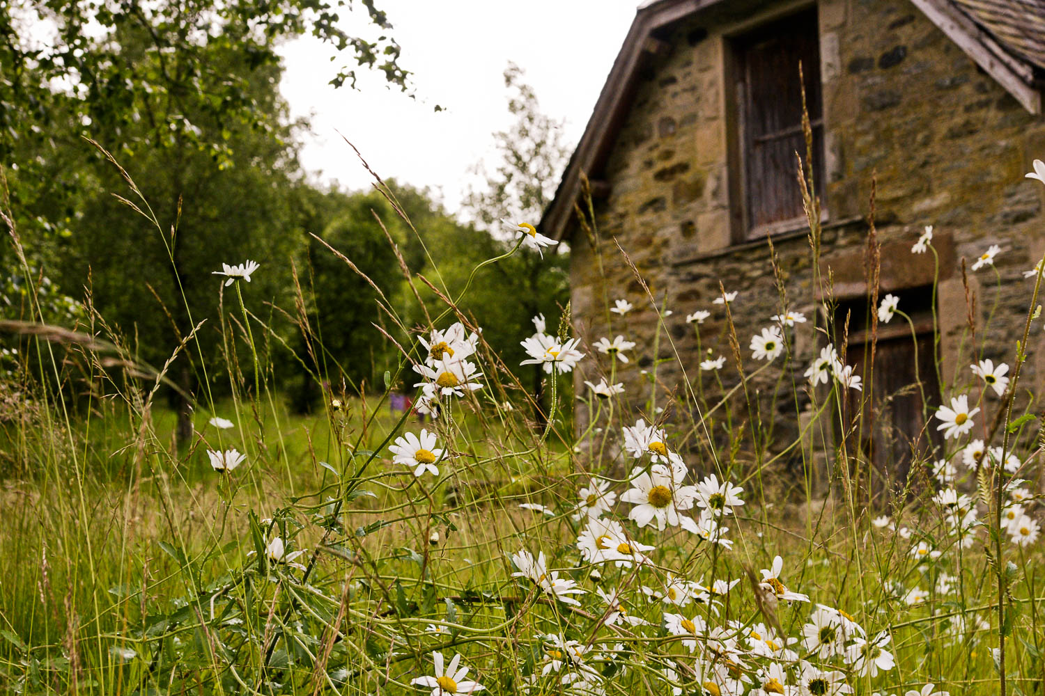 Scheune in Schottland