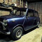 Scheunenfund ? - Mini Bj. 1978 - Restaurator Martin Winkler