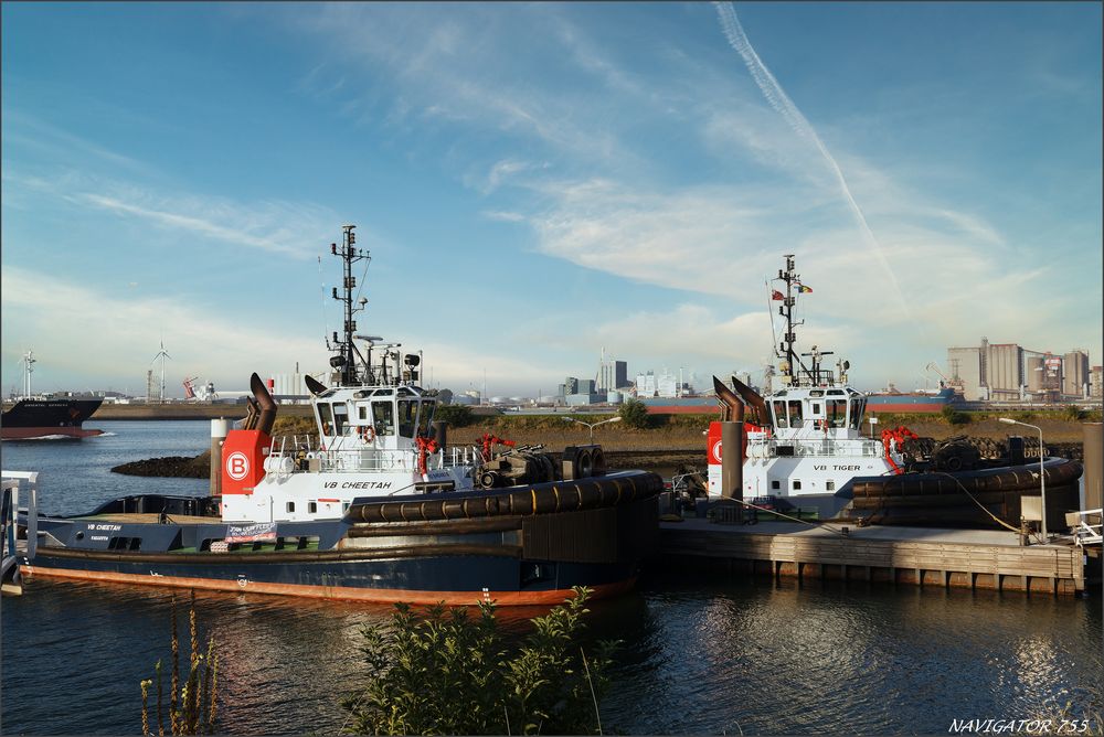 Scheurhaven, Calandcanal, Rotterdam