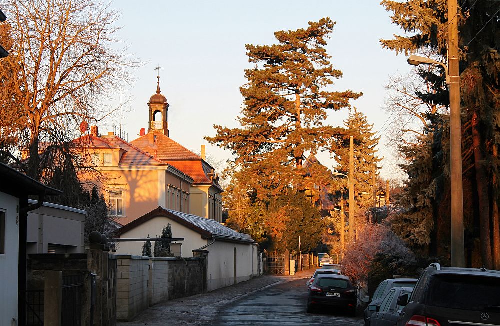 Schevenstr.