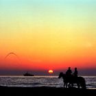 Scheweningen - Ausritt am Strand vor der Kulisse von Schießübungen der Marine bei Sonnenuntergang