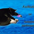"Schicht im Schacht"