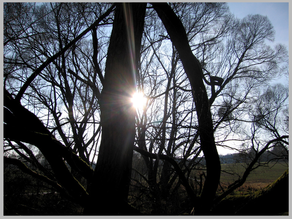 Schicke allen ein paar Sonnenstrahlen:-))