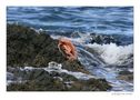 Schicksal am Strand von Jochen Burgstaller