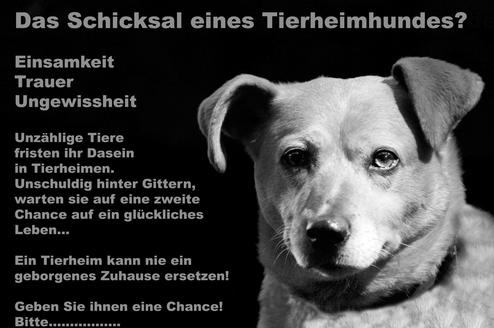 Schicksal oder Chance?