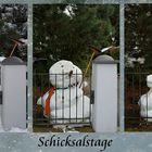 Schicksalstage