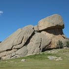 Schidkrötenstein-Mongolei