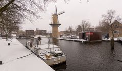 Schiedam - Doeleplein - Windmill "de Kameel"