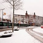 Schiedam - Koemarkt