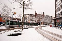 Schiedam - Koemarkt